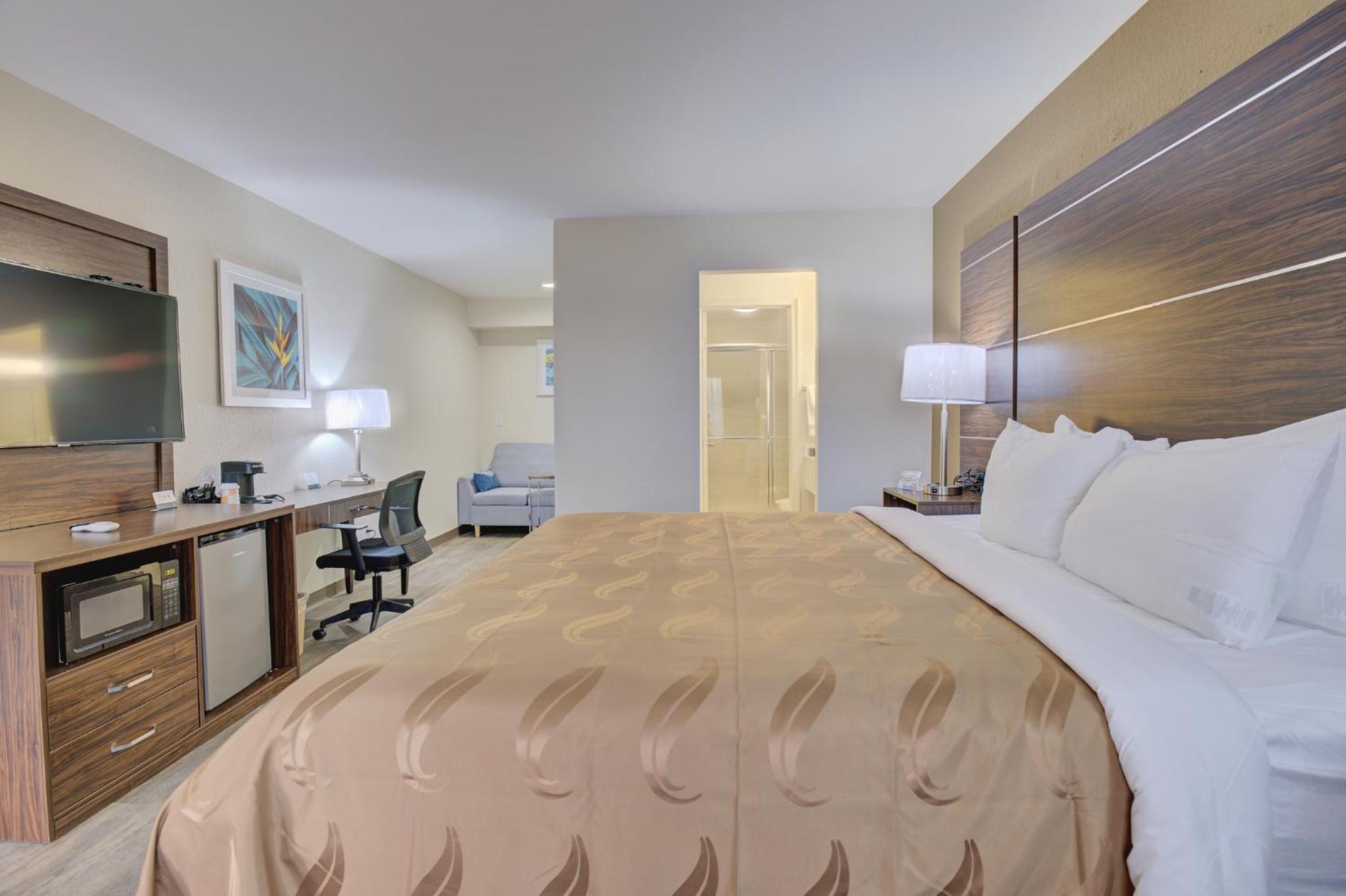 Deluxe King Suite photo 3