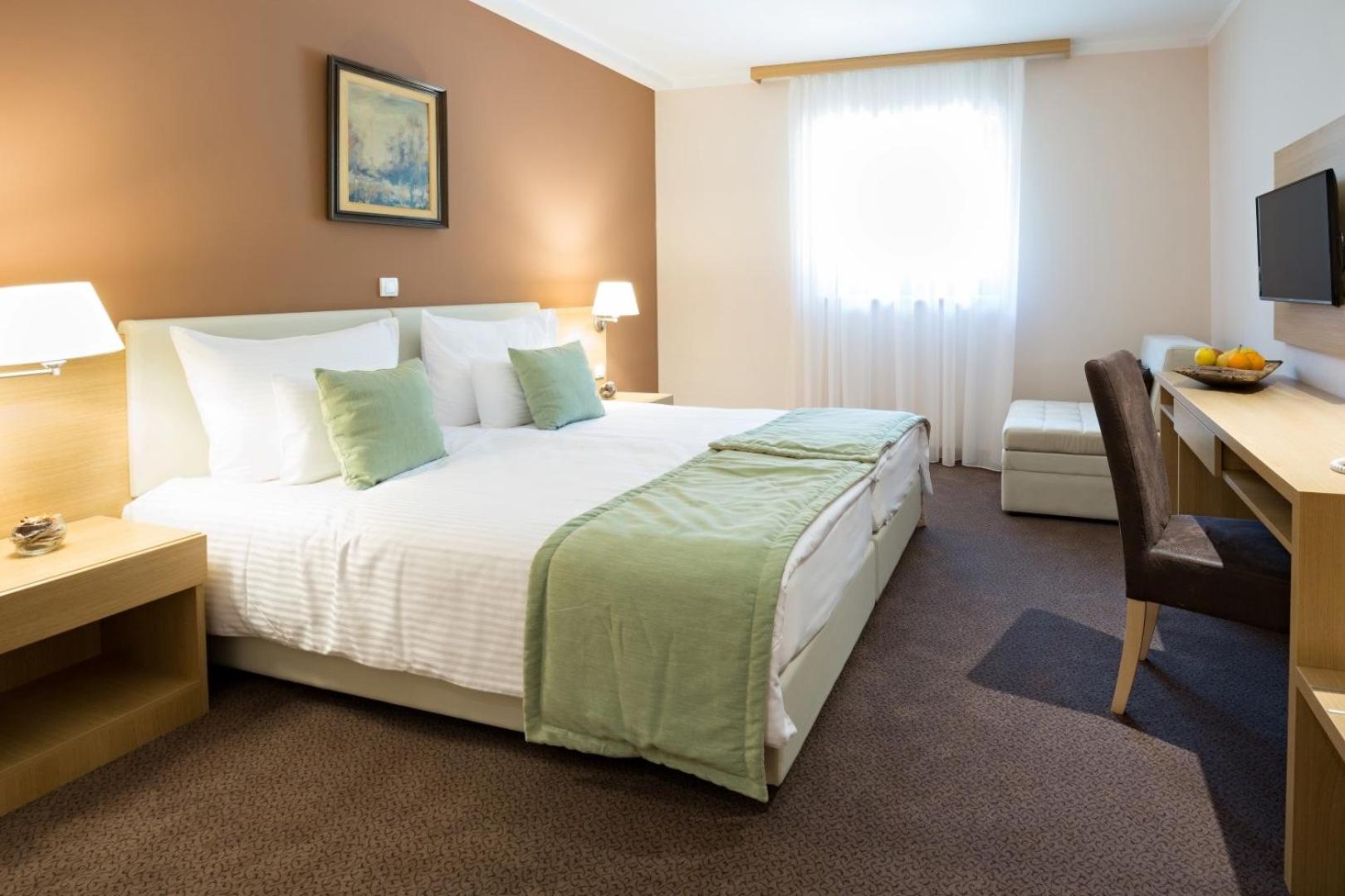 Superior Double or Twin Room photo 1