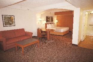 King Room with Roll-In Shower - Mobility/Hearing Accessible - Non-Smoking - Photo 4