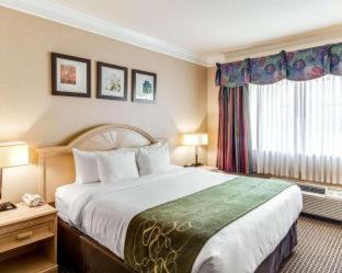Queen Suite with Two Queen Beds - Non-Smoking - Photo 17