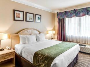 Queen Suite with Two Queen Beds - Non-Smoking - Photo 2
