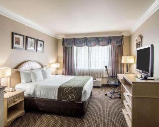 Queen Suite with Two Queen Beds - Non-Smoking - Photo 8