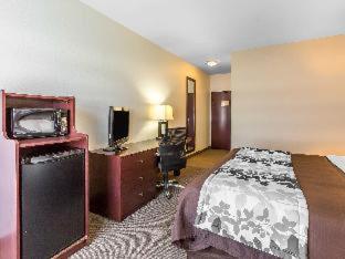 King Suite with Sofa Bed - Non Smoking - Photo 10