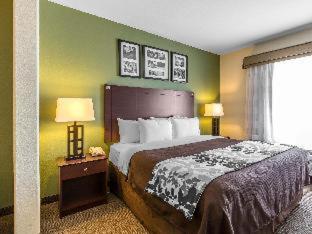 Queen Suite with Two Queen Beds and Sofa-Bed - Non Smoking - Photo 9