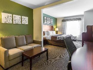 Queen Suite with Two Queen Beds and Sofa-Bed - Non Smoking - Photo 6