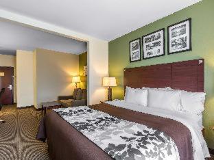 Queen Suite with Two Queen Beds and Sofa-Bed - Non Smoking - Photo 7