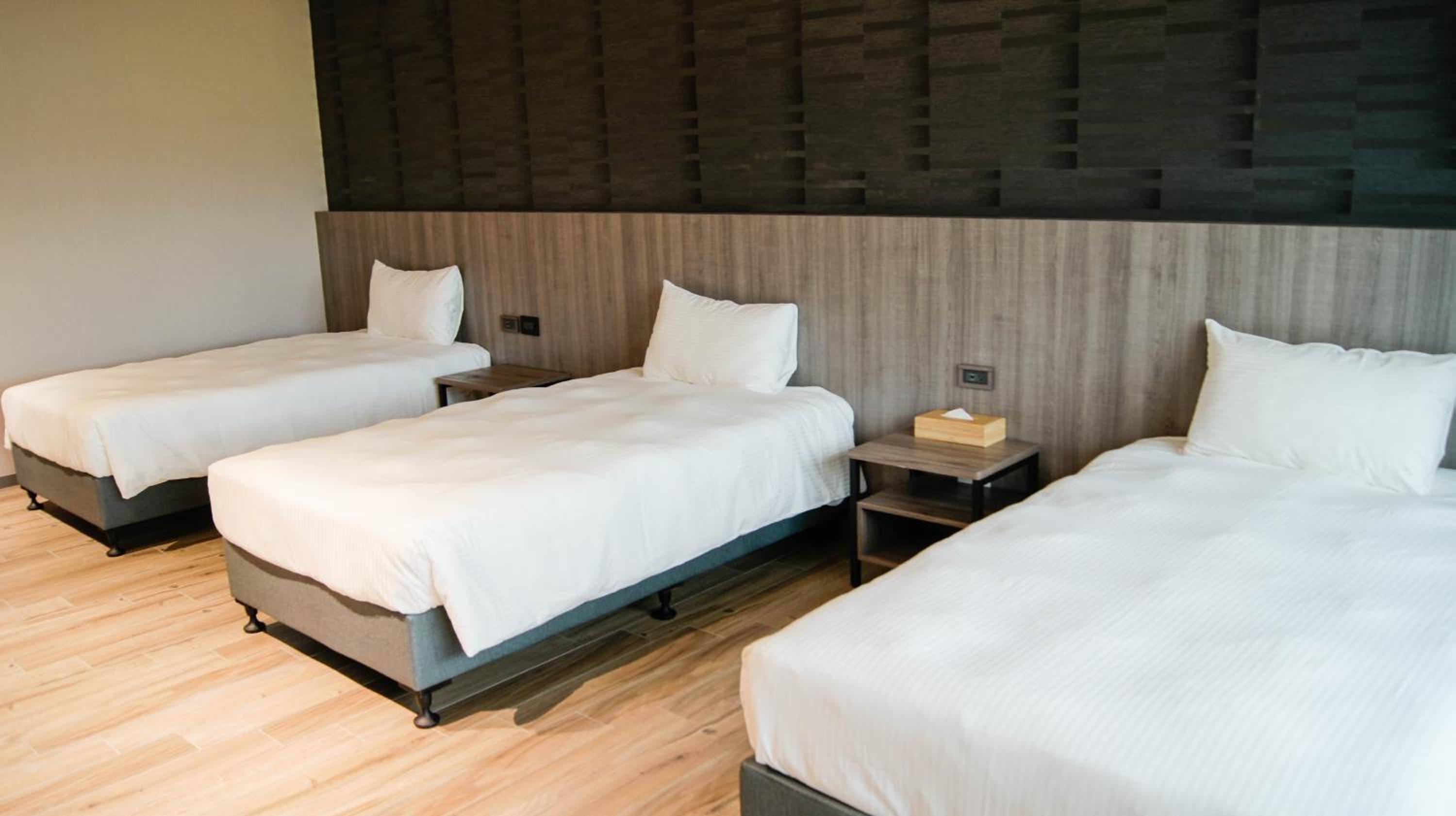 Standard Triple Room - Photo 1
