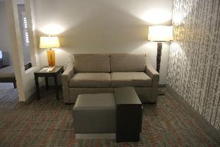King Suite with Roll-In Shower and Sofa Bed - Disability/Non-Smoking - Photo 8