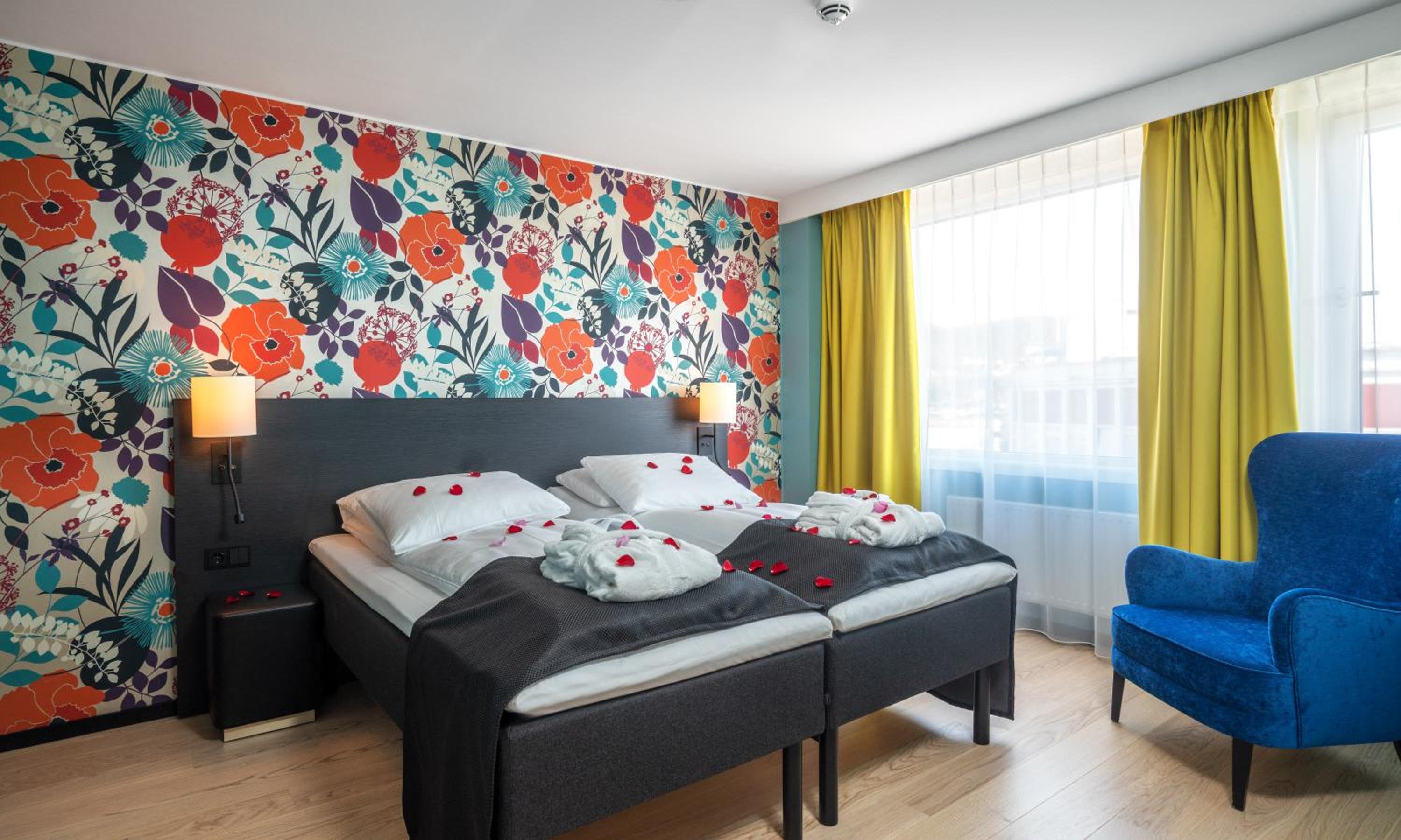 Suite - Photo 6
