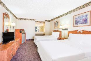 Family Suite photo 2