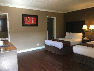 Family Suite - Photo 6