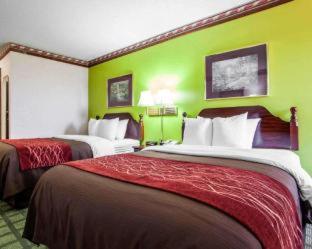 Efficiency Queen Room with Two Queen Beds - Non Smoking  - Photo 4