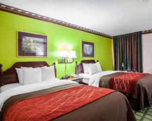 Efficiency Queen Room with Two Queen Beds - Non Smoking  - Photo 2