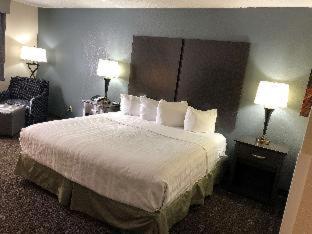 Deluxe King Studio Suite - Non-Smoking photo 1