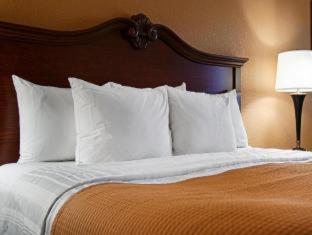 Double Room with Two Double Beds - Non-Smoking photo 2