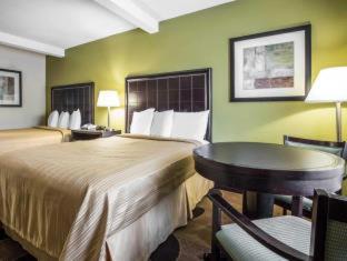 Double Room with Double Beds and Roll-In Shower - Disability Access/Non Smoking - Photo 5
