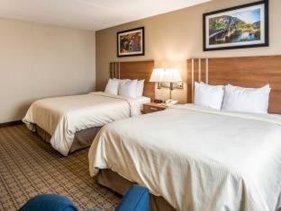King Suite with Sofa Bed - Non Smoking - Photo 12