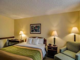 King Room with Tub - Mobility Accessible/Non Smoking - Photo 4