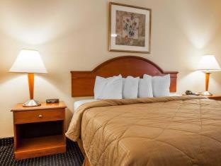 Quadruple Room - Non-Smoking - Photo 7