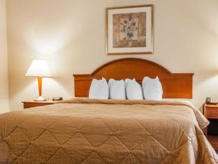 Quadruple Room - Non-Smoking - Photo 4