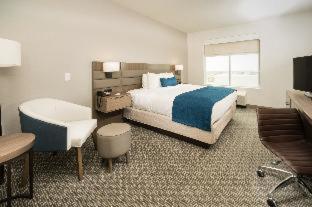 King Room with Mobility Access and Bathtub with Grab Bars, Non-Smoking