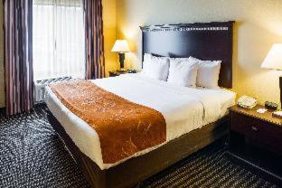 Standard King Room with Lake View - Photo 1