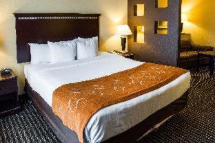 Standard King Room with Lake View - Photo 2