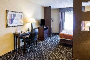 Standard King Room with Lake View - Photo 3