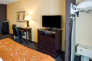 Standard King Room with Lake View - Photo 4