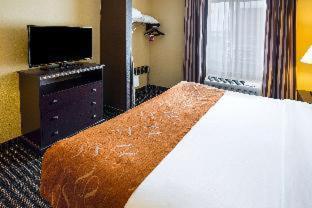Standard King Room with Lake View - Photo 6