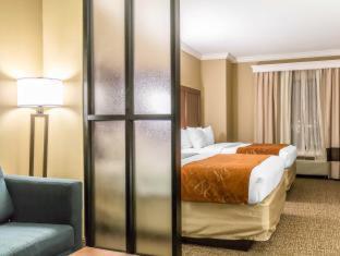 Queen Suite - Non Smoking/Pet Friendly, photo 7