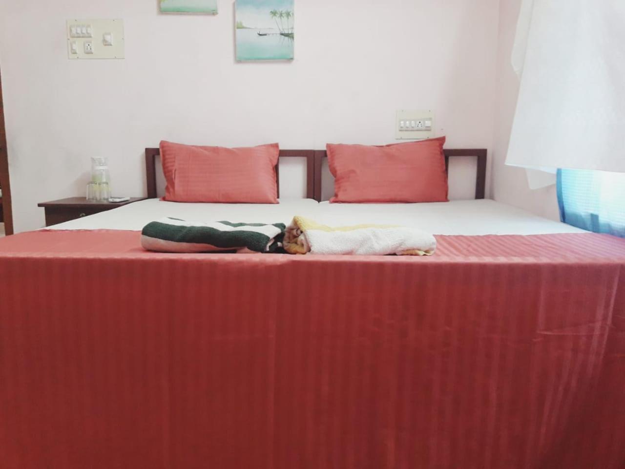 One-Bedroom House photo 1