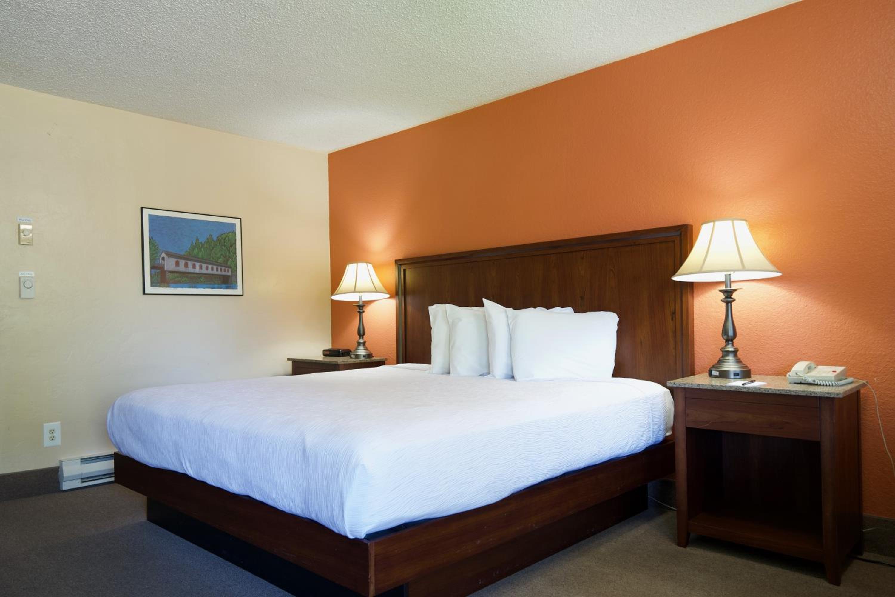 King Room - Non-Smoking - Photo 2