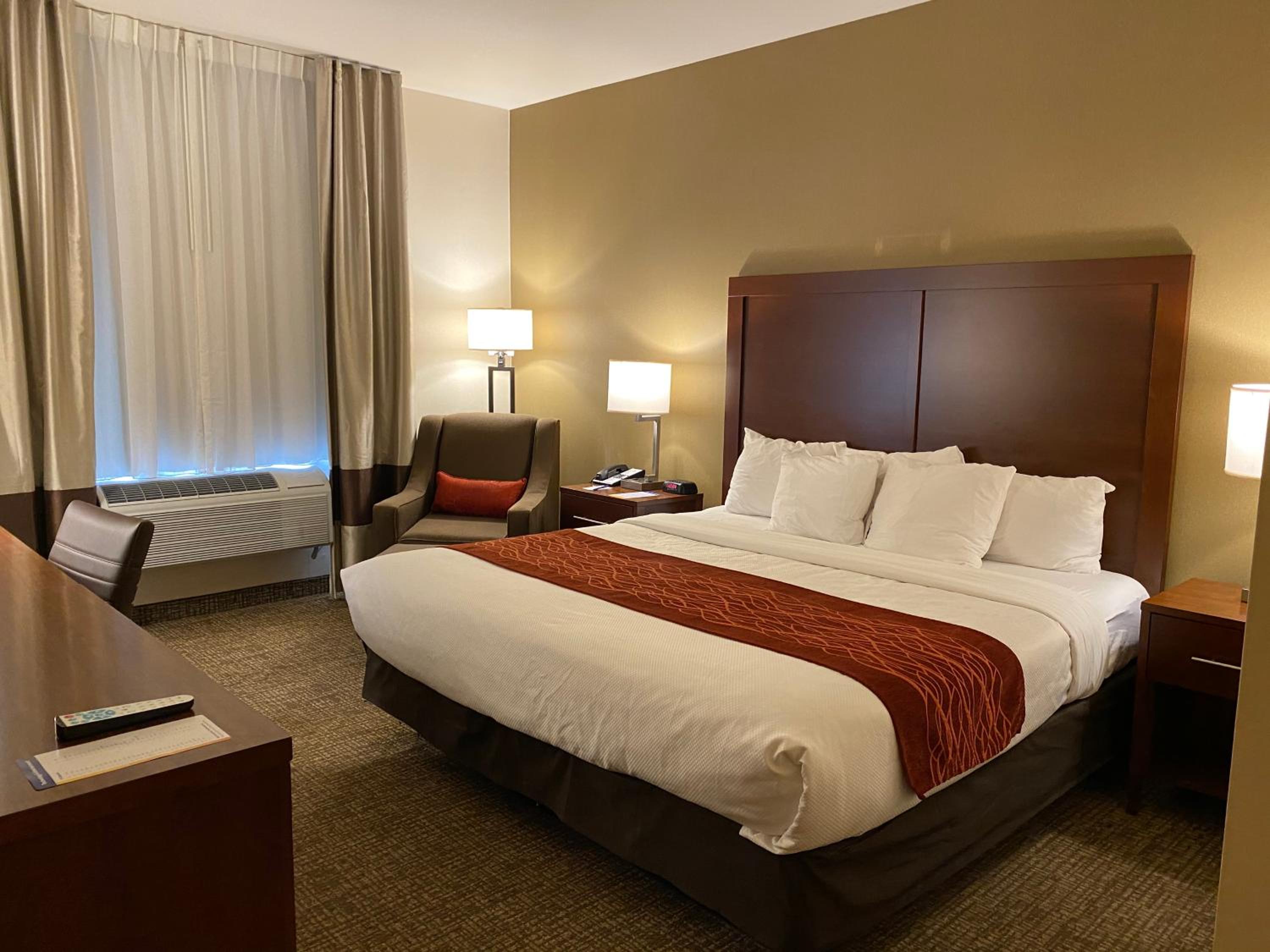 King Room with Roll-In Shower - Accessible/Non-Smoking - Photo 1