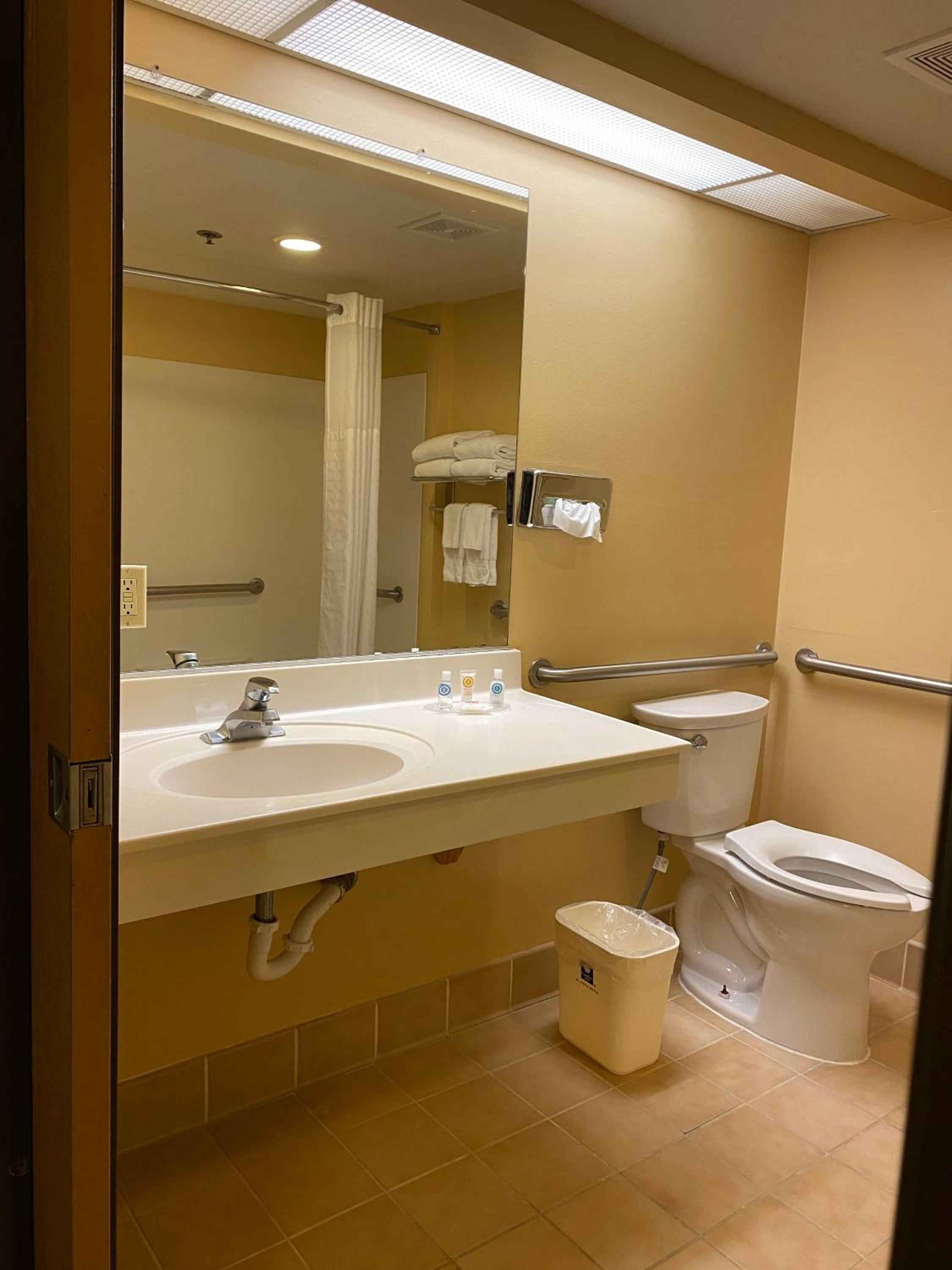 King Suite - Non-Smoking - Photo 4