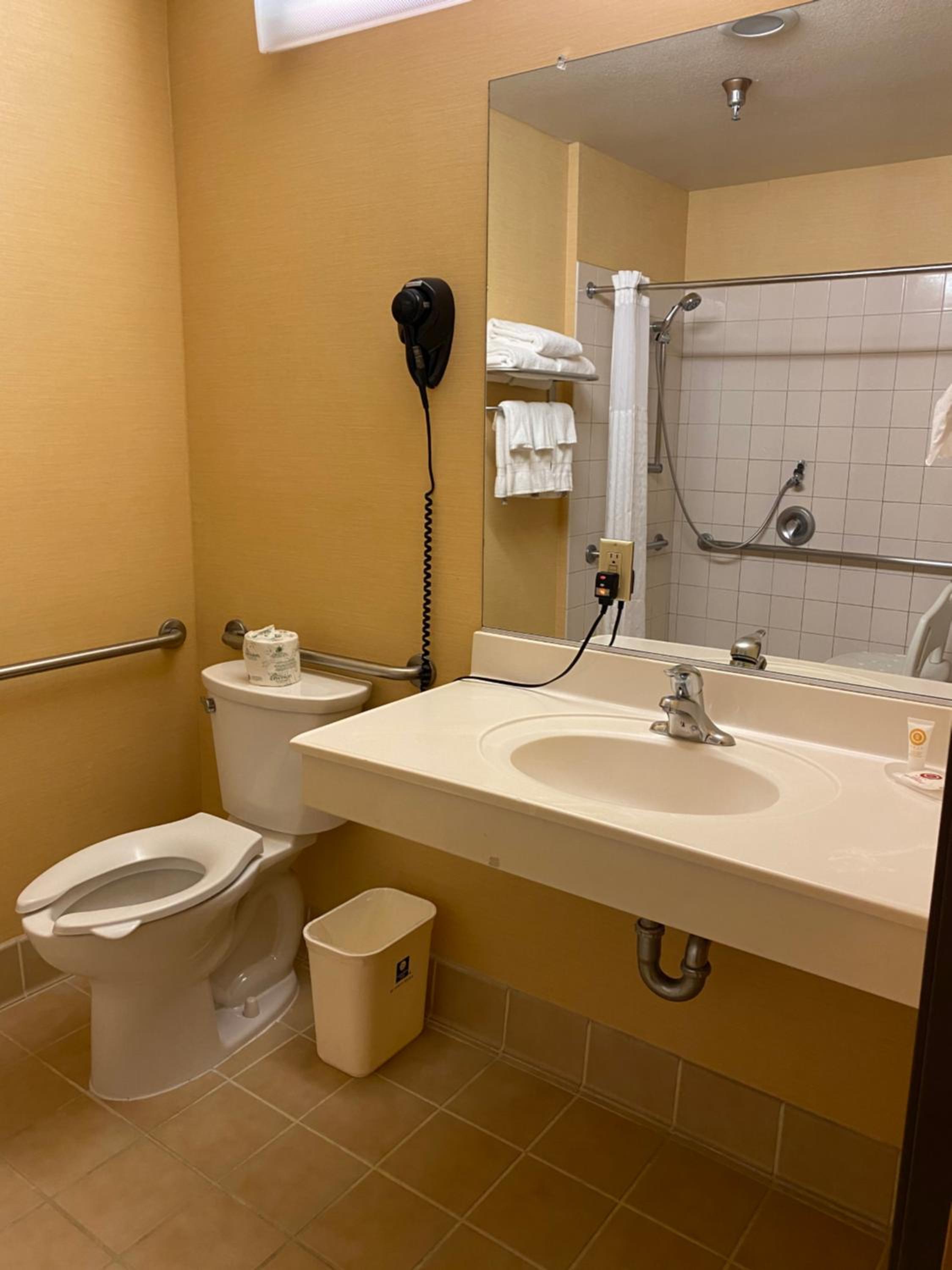 King Room with Roll-In Shower - Accessible/Non-Smoking - Photo 4