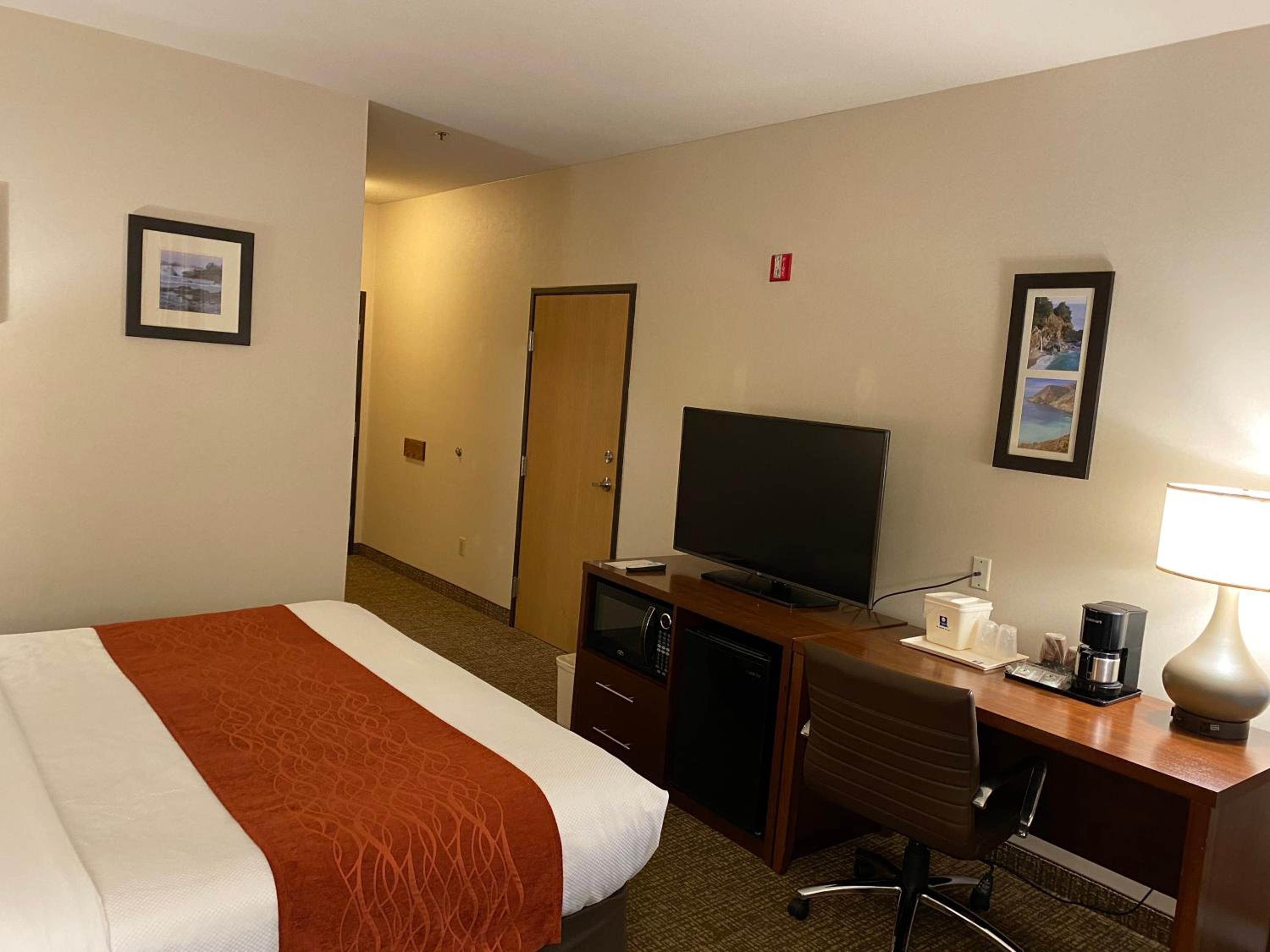 King Room with Roll-In Shower - Accessible/Non-Smoking - Photo 3