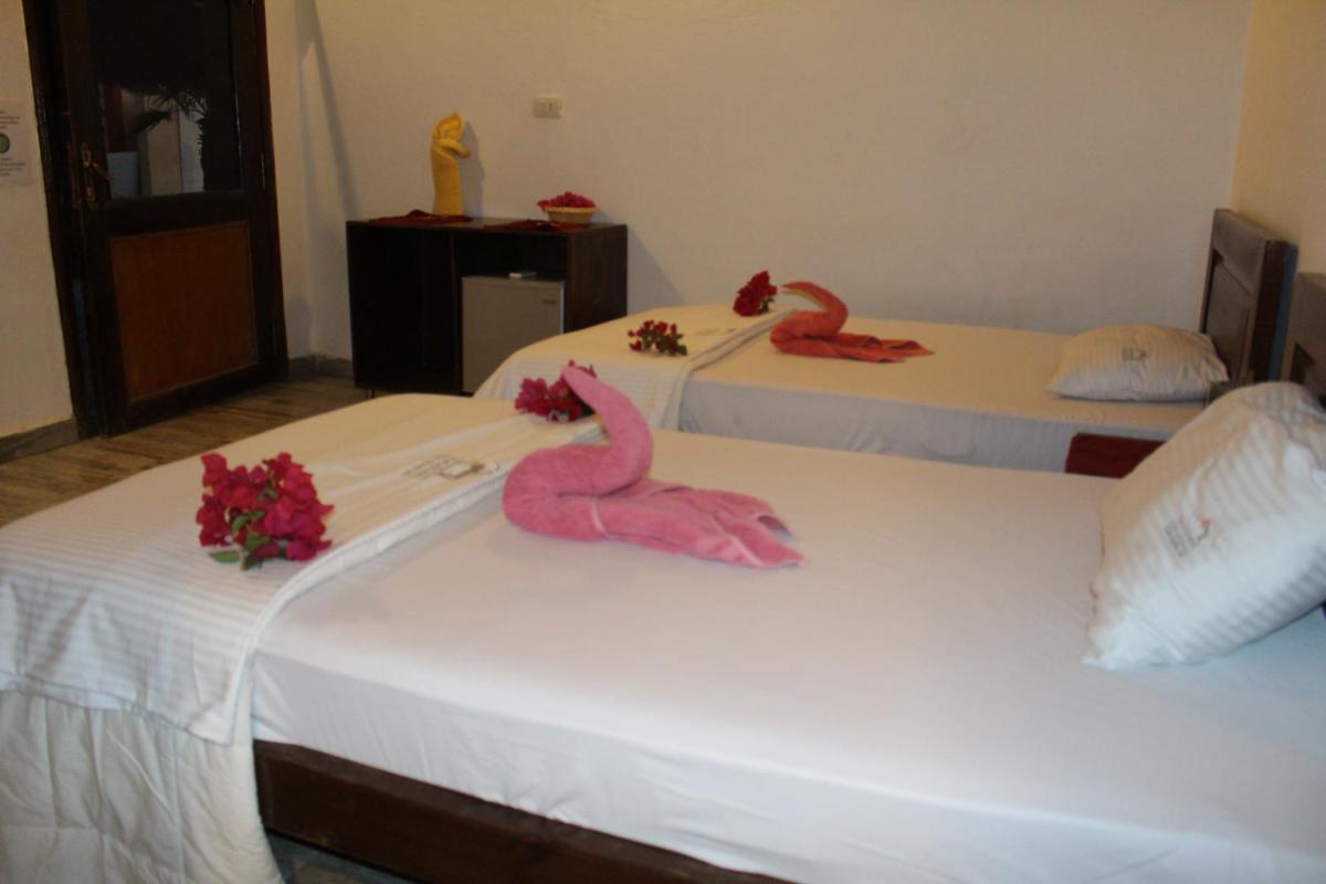 Twin Room with Garden View photo 1
