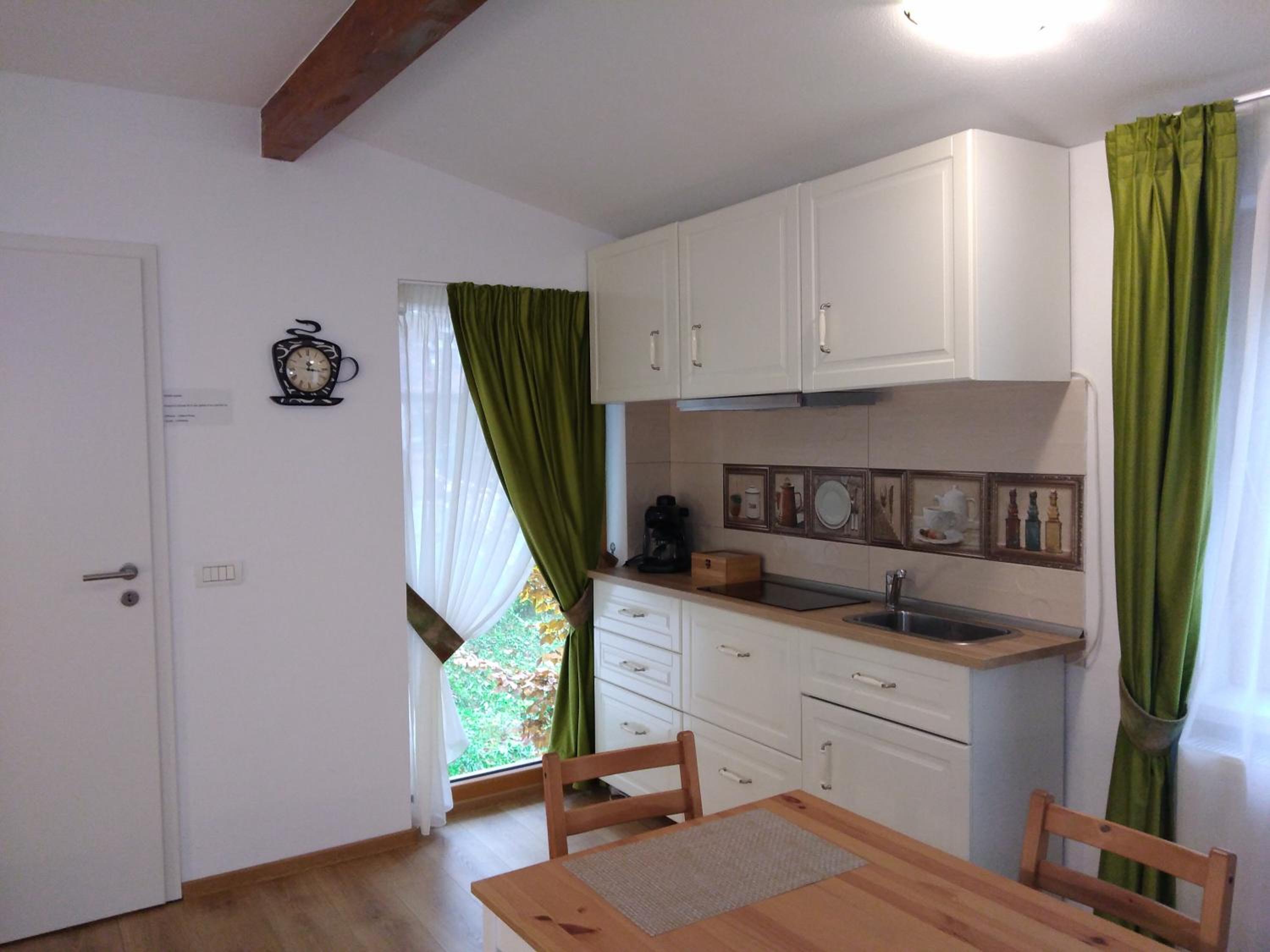 Studio with Lake View photo 2