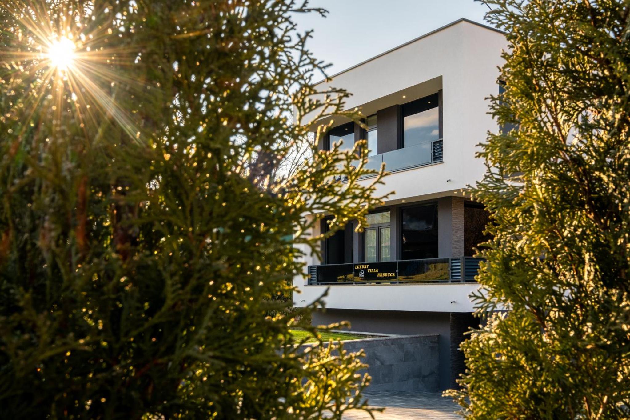 Deluxe Villa photo 3