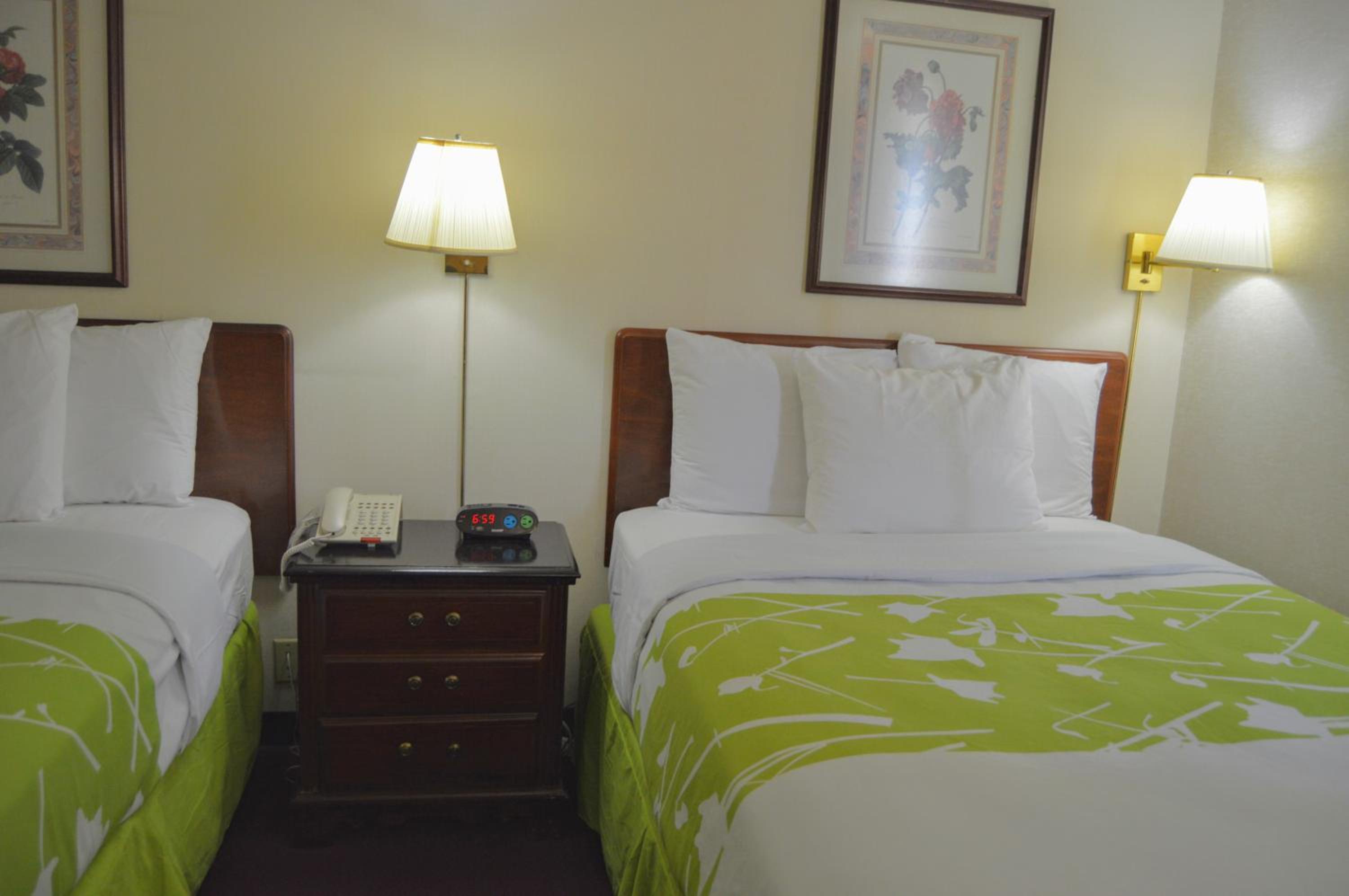 Deluxe Double Room with Two Double Beds photo 2