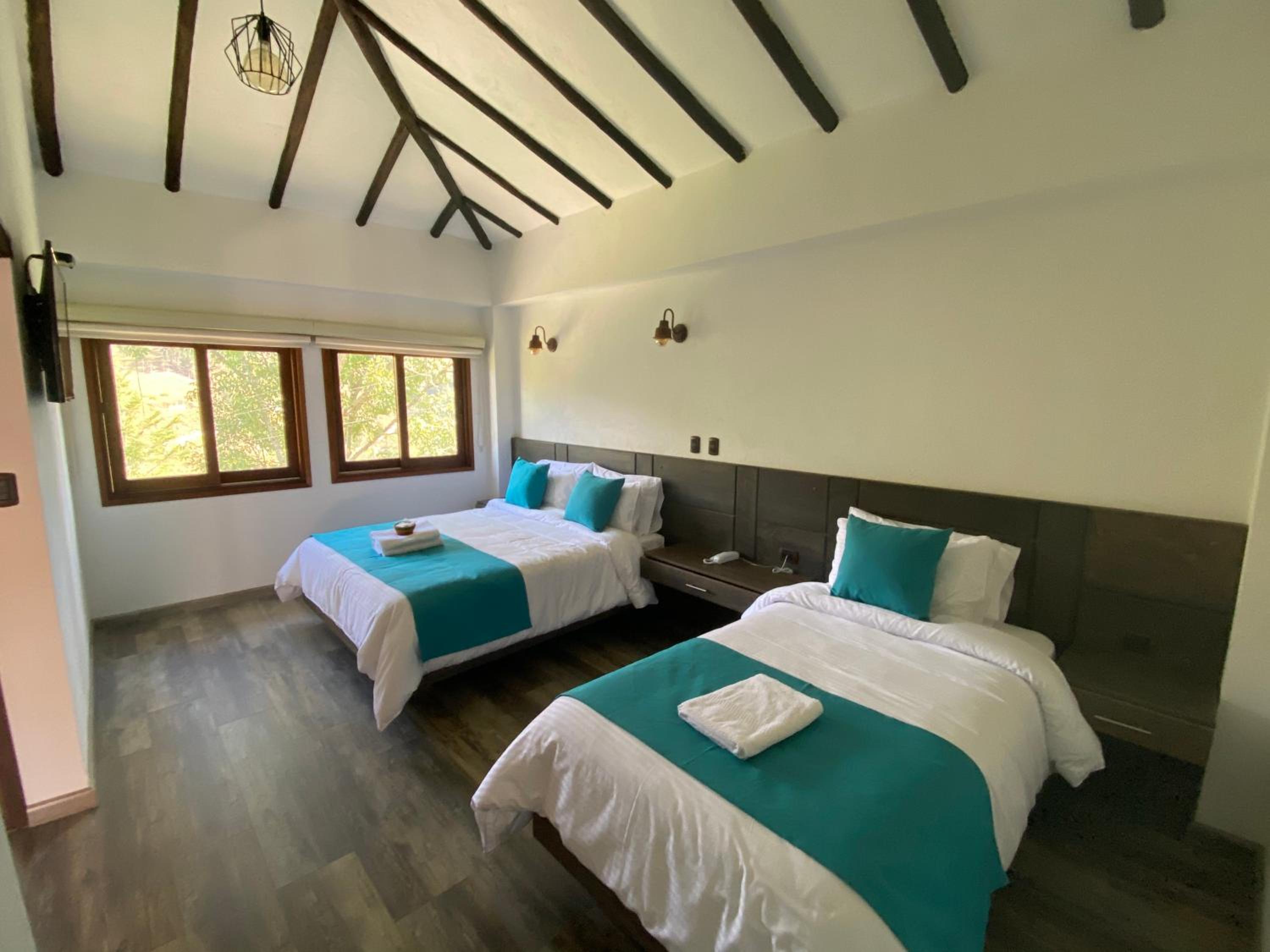 Triple Room photo 3