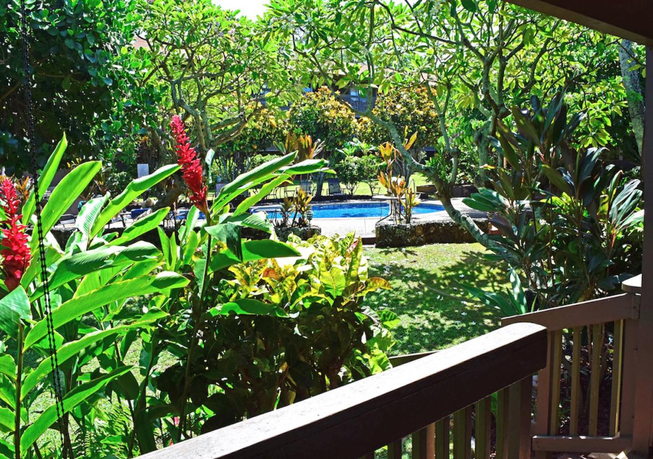 Studio with Garden View - Photo 3