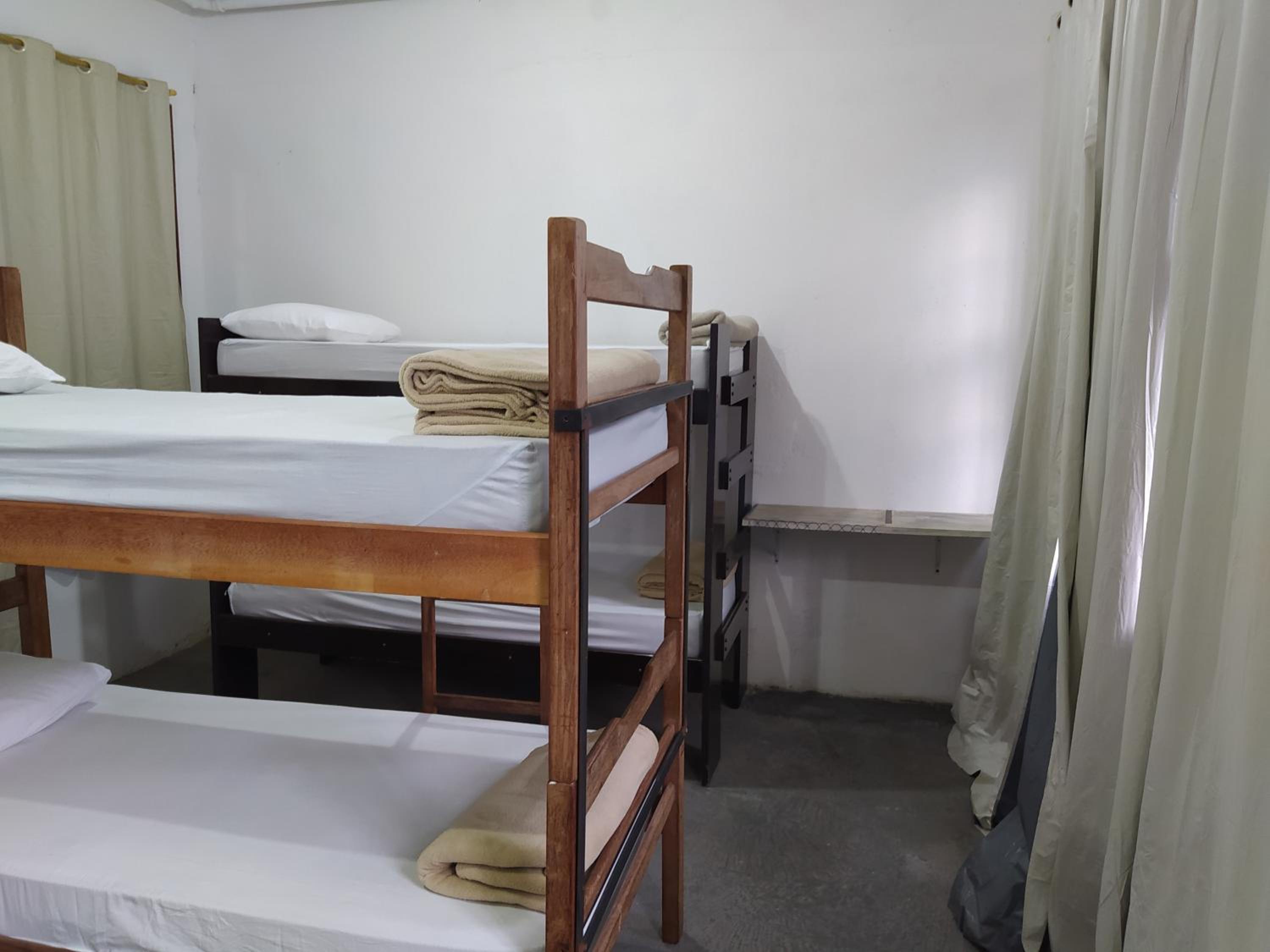 Bunk Bed in Mixed Dormitory Room photo 3