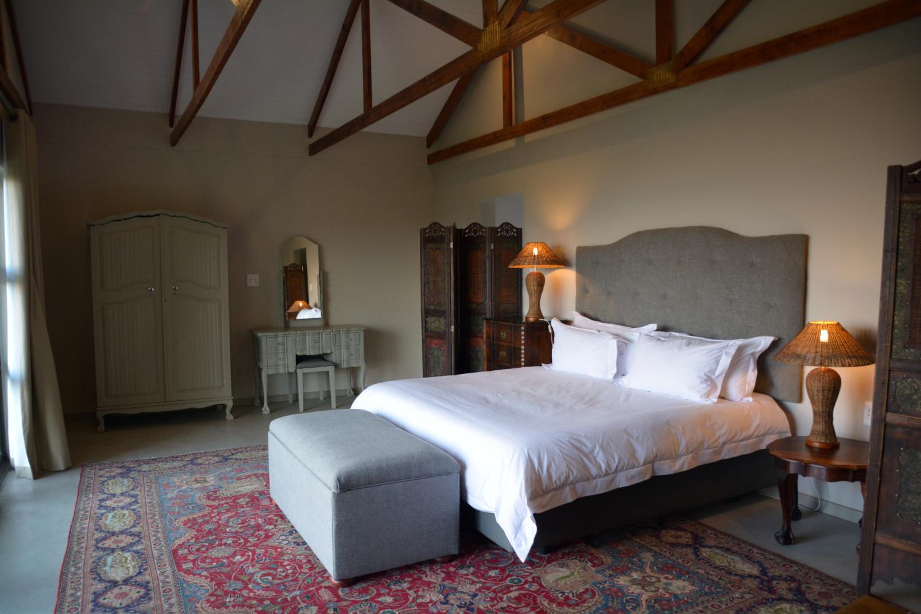 Suite - Photo 1