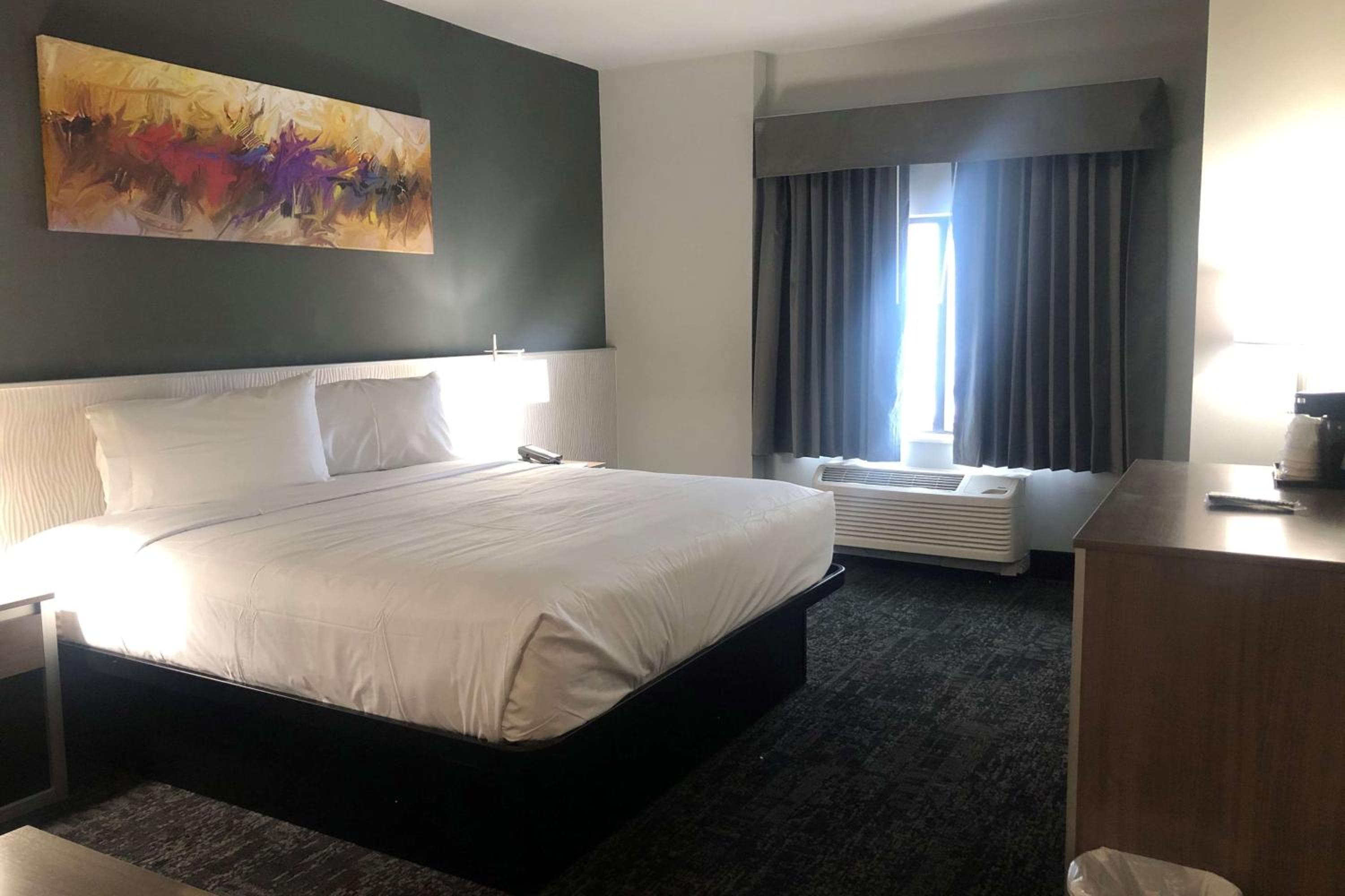 King Room - Pet Friendly/Mobility Access/Non-Smoking - Photo 1