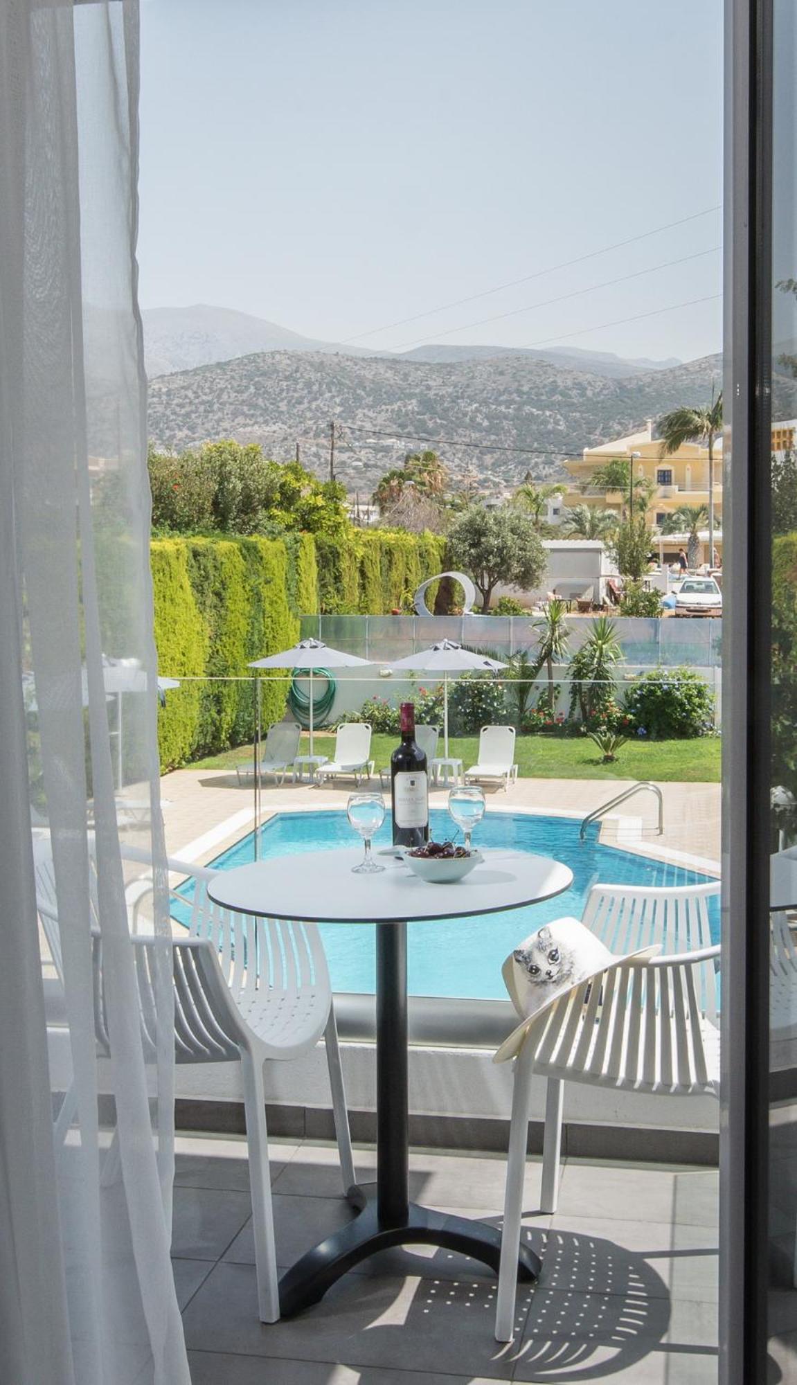 Superior Twin / Double Studio with Pool View - Photo 11