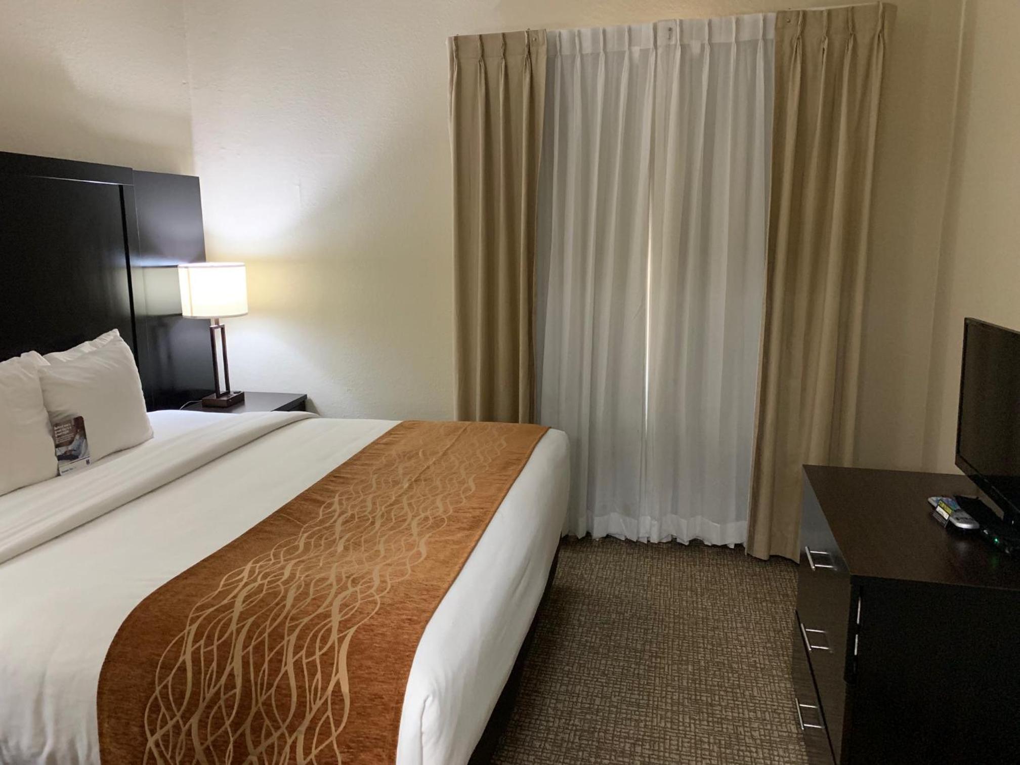 Business King Suite with Sofa Bed - Non-Smoking - Photo 4