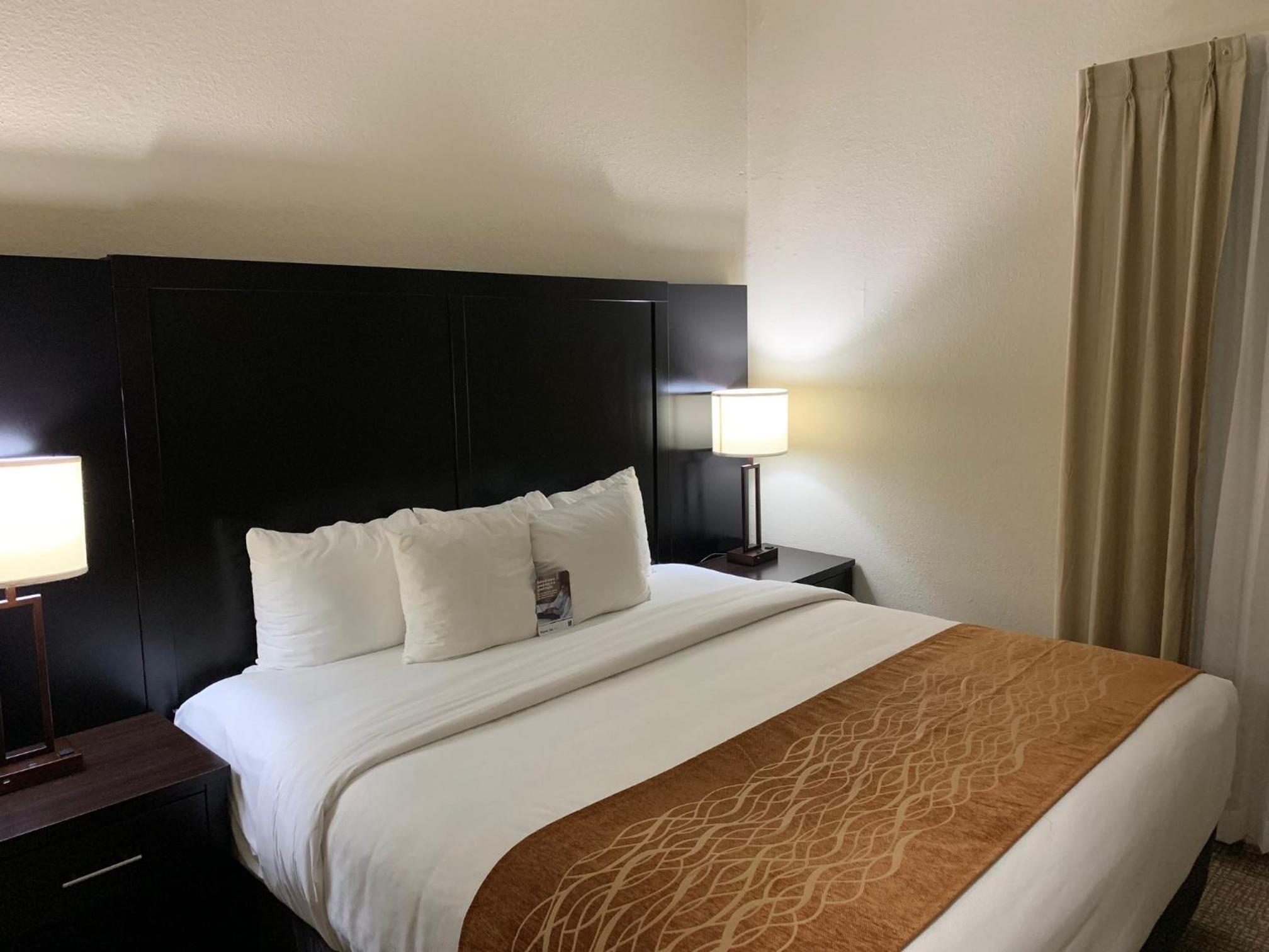 Business King Suite with Sofa Bed - Non-Smoking - Photo 1