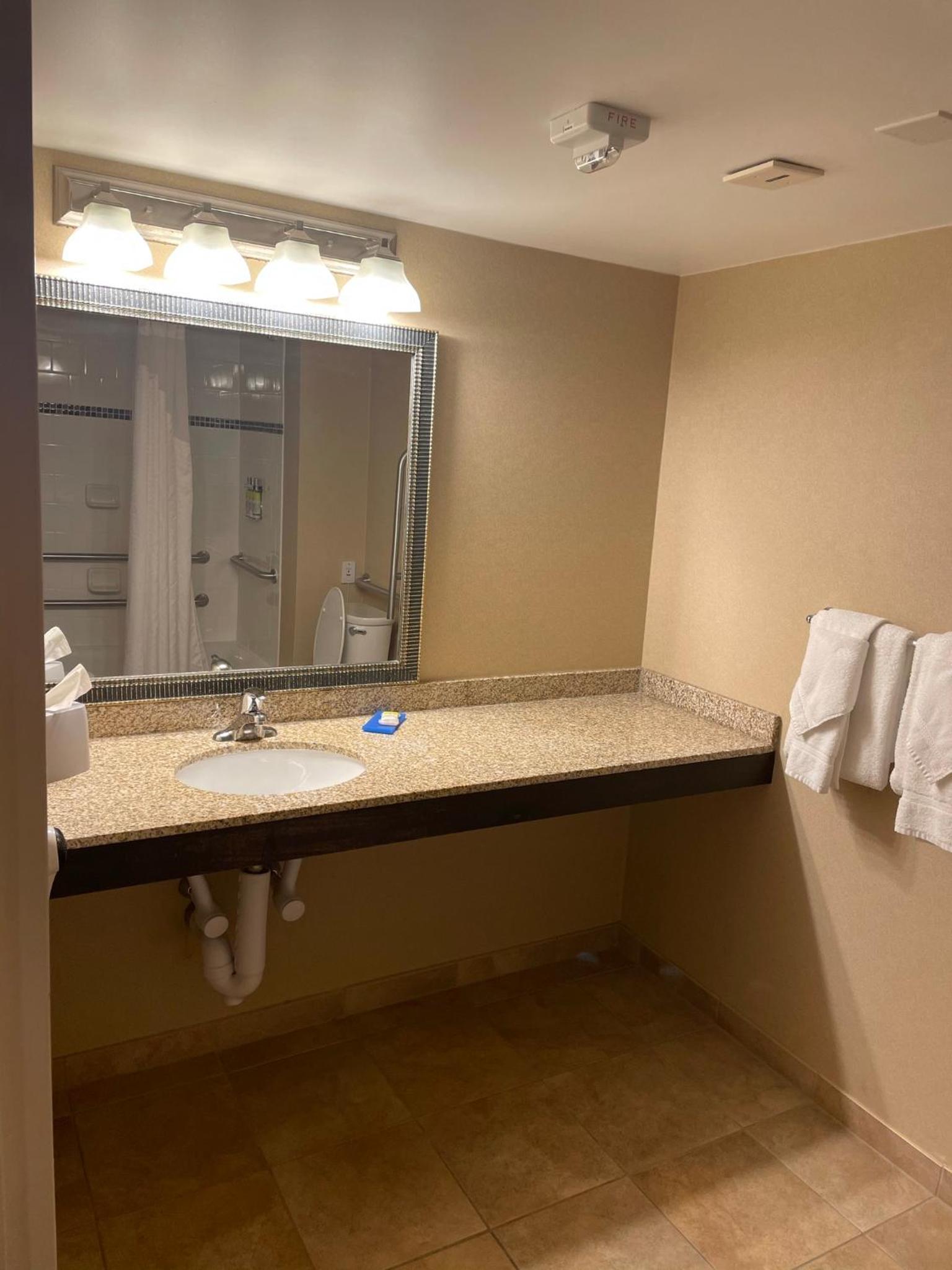 Queen Studio - Disability Access/Roll-in Shower/Non-Smoking - Photo 6